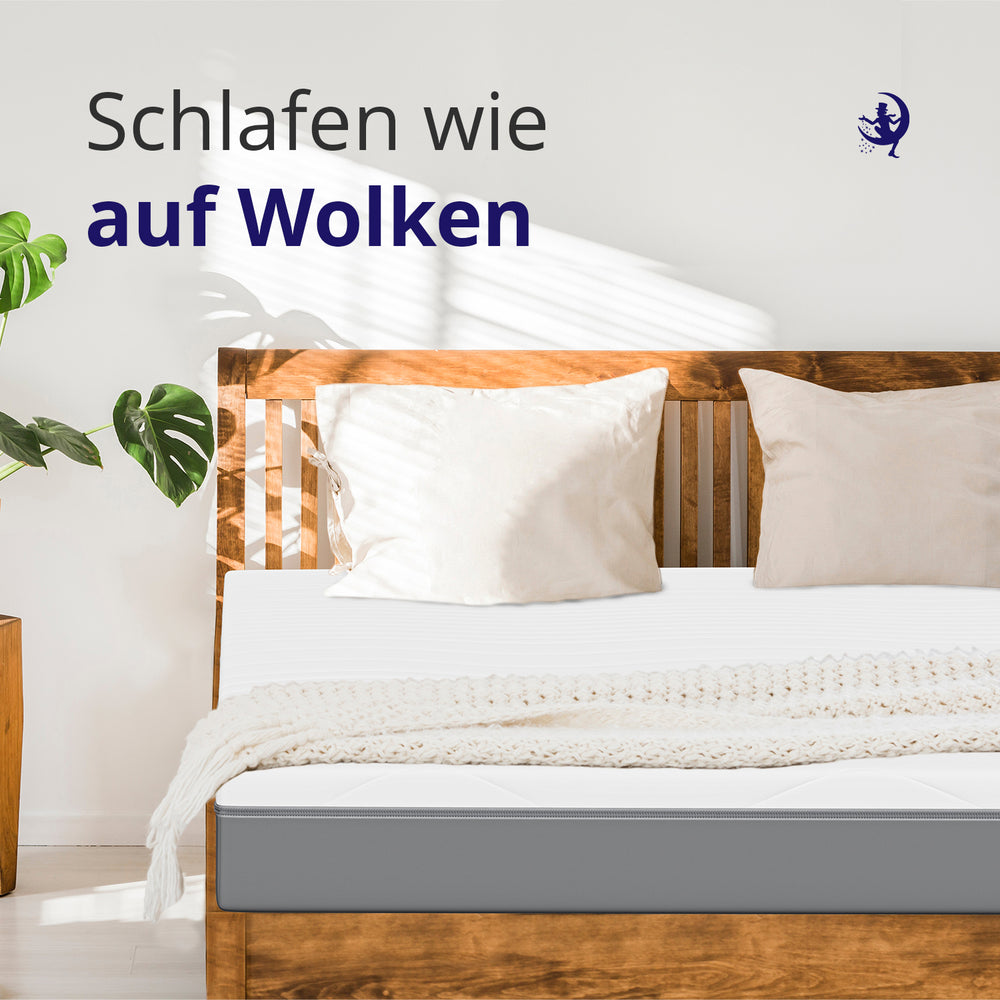 Hover image of Ergo Support 13 – feste 7-Zonen Kaltschaummatratze